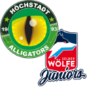 SG SG Höchstadter EC / VER Selb Logo