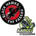 SG EHF Passau / ESV Waldkirchen Logo